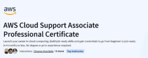 AWS Cloud Support Associate Professional Certificate