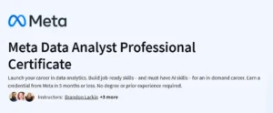 Meta Data Analyst Professional Certificate