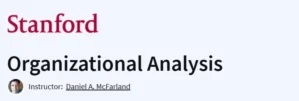 Organizational Analysis