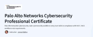 Palo Alto Networks Cybersecurity Professional Certificate