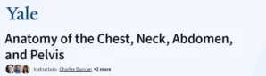 Anatomy of the Chest, Neck, Abdomen, and Pelvis