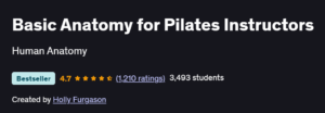 Basic Anatomy for Pilates Instructors