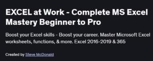 EXCEL at Work - Complete MS Excel Mastery Beginner to Pro