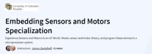 Embedding Sensors and Motors Specialization