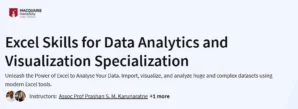 Excel Skills for Data Analytics and Visualization Specialization