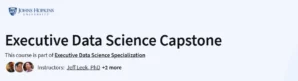 Executive Data Science Capstone