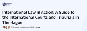 International Law in Action: A Guide to the International Courts and Tribunals in The Hague
