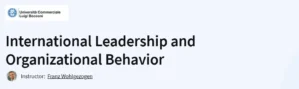 International Leadership and Organizational Behavior