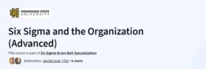 Six Sigma and the Organization (Advanced)