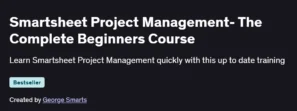 Smartsheet Project Management- The Complete Beginners Course