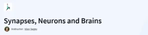 Synapses, Neurons and Brains