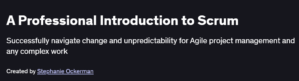 A Professional Introduction to Scrum