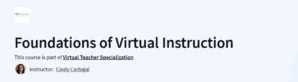 Foundations of Virtual Instruction