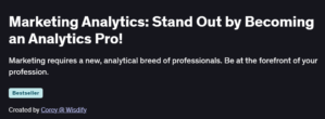 Marketing Analytics: Stand Out by Becoming an Analytics Pro!