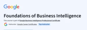 Foundations of Business Intelligence