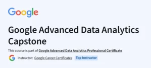 Google Advanced Data Analytics Capstone