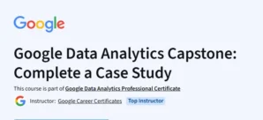 Google Data Analytics Capstone: Complete a Case Study