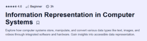 Information Representation in Computer Systems