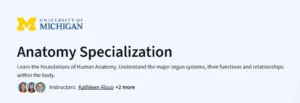 Anatomy Specialization