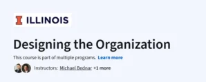 Designing the Organization