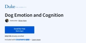 Dog Emotion and Cognition