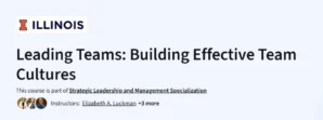 Leading Teams: Building Effective Team Cultures