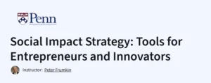 Social Impact Strategy: Tools for Entrepreneurs and Innovators