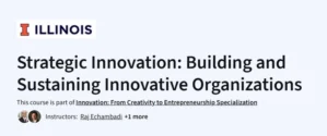 Strategic Innovation: Building and Sustaining Innovative Organizations