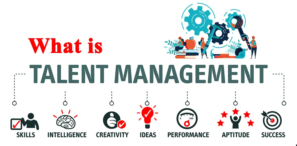 What Is Talent Management?