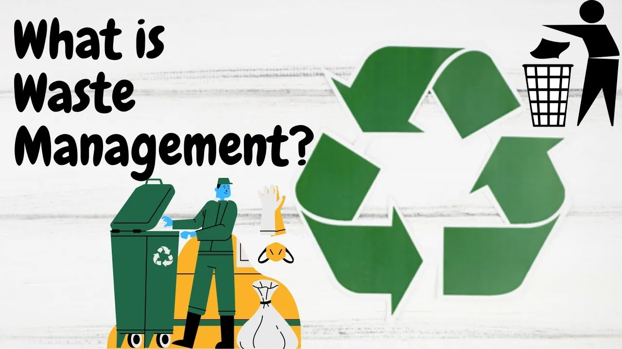 What Is Waste Management?