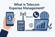 What is Telecom expense management?