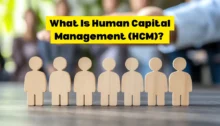 What Is Human Capital Management (HCM)? Concepts, Processes, and Strategies Explained